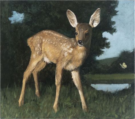 Deer Doe, Oh Deer, Classical Art, Woodland Creatures, Touch Me, Warrior Cats, Pics Art, Spirit Animal, Dive In