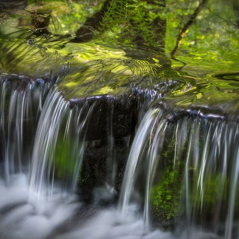 *🇺🇸 Spring stream (Yosemite, California) by Charlotte Gibb (@charlottegibb) on Instagram Swamp Landscape Photography, Yosemite Mist Trail, Yosemite Tunnel View, Panorama Trail Yosemite, Yosemite California, Merced River, Merced River Yosemite Bridge, River Rocks, Spring Water