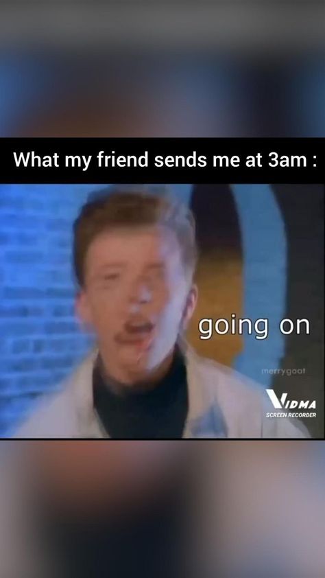 What my friends sends me at 3am: in 2022 | Internet funny, Just for laughs videos, Funny videos clean Just For Laughs, Funny Meems, New Funny Videos, Extremely Funny Jokes, Funny Dude, Real Funny Jokes, Really Funny Joke, Funny Videos Clean, Crazy Funny Videos