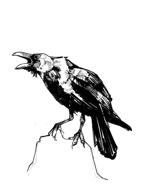 Raven Call, an art print by Crystal Smith - INPRNT - prints available  marker, felt and ink drawing of a raven or crow. #ravenart #raven #crow #crowart #inkdrawing Raven Sketch, Raven Drawing, Crow Drawing, Ink Sketching, Raven Pictures, City Portraits, Crows Drawing, Crow Art, Raven Art