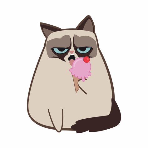 Grumpy Cat on Twitter: "… " Grumpy Cat Breed, Grumpy Cat Cartoon, Grumpy Cat Art, Funniest Cat, Pusheen Cute, Cat Whisperer, F2 Savannah Cat, Cat Spray, Angry Cat