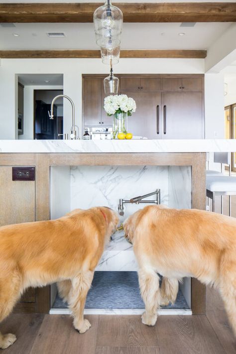 Dog Drinking Station, Drinking Station, Custom Kitchen Island, Kitchen Luxury, Best Kitchen Designs, Dog Rooms, Luxury Pet, Kitchen Marble, Kitchen Trends