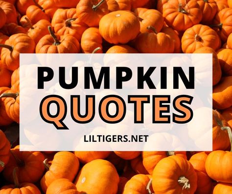 100 Best Pumpkin Quotes and Sayings Cute Pumpkin Quotes, Pumpkin Sayings, Carving Quotes, Pumpkin Puns, Puns Cute, Patch Quotes, Pumpkin Poem, Fall Mason Jar Crafts, Pumpkin Quotes