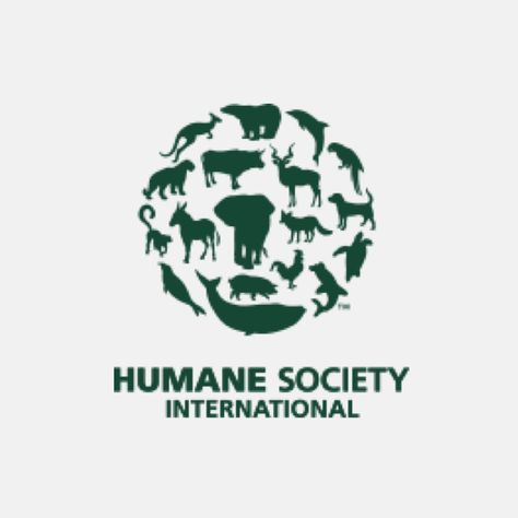 UK animal experiment statistics indicate reluctance to embrace modern tools to advance British labs into the 21st century - Humane Society International Charity Logo Design, Charity Logos, Street Dogs, Stop Animal Cruelty, Animal Protection, Puppy Mills, Animal Welfare, Animal Rights, Humane Society