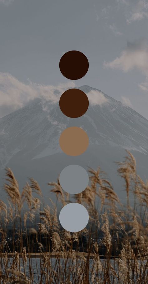 Fall Color Palette Aesthetic, Western Color Pallete, Cambridge Photography, Western Color Palette, Colors Moodboard, Desert Color Palette, Graphic Design Color, Color Branding, Brand Palette