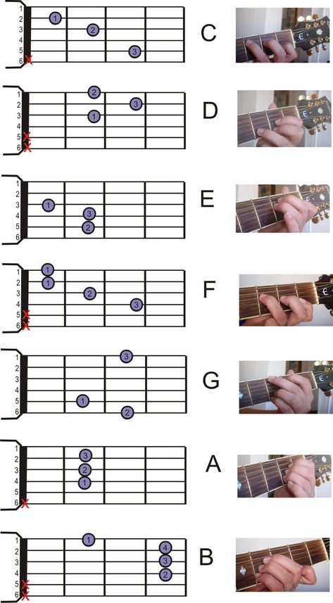 Basic Guitar Chords Chart, Akordy Na Ukulele, Bass Guitar Chords, Easy Guitar Chords, Chords Guitar, Acoustic Guitar Chords, Guitar Cord, Learn Guitar Chords, Basic Guitar Lessons