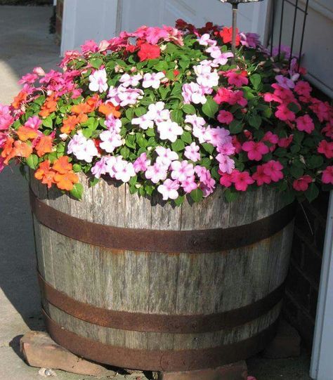 g Wine Barrel Ideas, Whiskey Barrel Flowers, Diy Whiskey Barrel, Wine Barrel Garden, Diy Whiskey, Barrel Flowers, Whiskey Barrel Planter, Shutter Ideas, Wine Barrel Planter