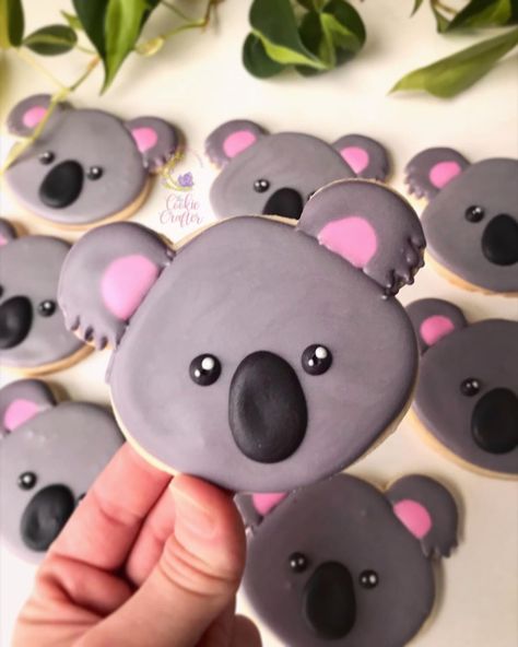 Koala Cookies Decorated, Koala Biscuits, Cake Koala, Koala Cookies, Australian Chocolate, Cookies For Sale, Koala Party, Koala Birthday, Cookie Contest