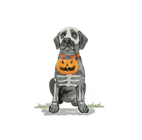 Puppy Pumpkin, Charcoal Labrador, Black Lab Dog, Black Labs Dogs, Pumpkin Skeleton, Lab Dog, Spooky Black, Home Decor Halloween, Black Chocolate