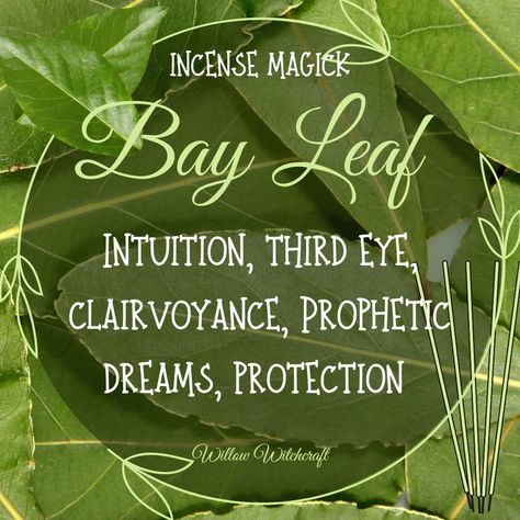 Bay Leaf Spiritual Meaning, Witch 101, Witchy Notes, Witchy Plants, Plant Symbolism, Herb Magick, Clairvoyant Psychic Abilities, Magick Herbs, Magickal Correspondences