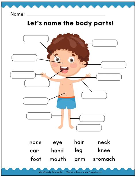 Printable: Identify the Body Parts Learning Worksheets - https://tribobot.com Body Parts Worksheet, Body Parts For Kids, Human Body Worksheets, Body Parts Preschool, English Activities For Kids, Learning English For Kids, English Worksheets For Kids, Learning Worksheets, Kids English