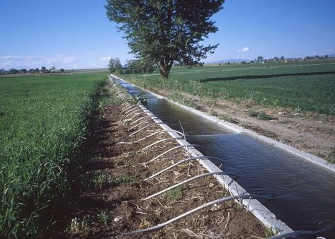 Irrigation Methods, Vertical Farming, World Water Day, Water Day, Surface Water, Water Usage, Water Resources, Drip Irrigation, Edible Garden