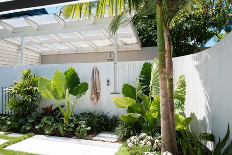 Australian Alfresco Ideas, Queensland Front Gardens, Costal Garden Design, Front Yard Palm Tree Ideas, Coastal Tropical Garden, Coastal Plants Beach Houses, Coastal Pool Landscaping, Pool Gardens Australia, Tropical Front Garden