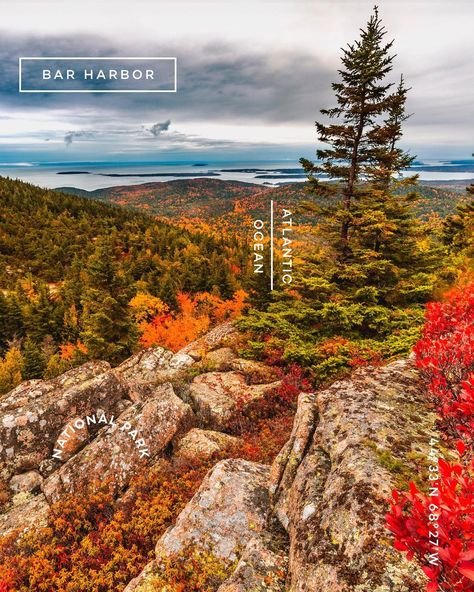 Noken on Instagram: “Sneak peek into Coastal Maine. Just outside of Bar Harbor is Acadia National Park, the first national park east of the Mississippi River.…” Acadia National Park Fall, Maine National Park, Acadia Maine, Maine Winter, Maine In The Fall, Acadia National Park Maine, Bar Harbor Maine, Forest Trail, Maine Travel