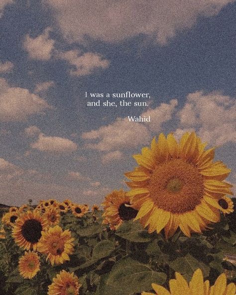 Quotes On Sunflower, Sun Aesthetic Quotes, Sunflower Aesthetic Quotes, Flowers Quotes Aesthetic, Sunflower Quotes Inspirational, Sun Flowers Aesthetic, Love Quotes From Literature, Sunflowers Aesthetic, Sunflower Aesthetic