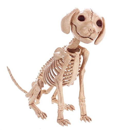 Sitting Skeleton, Skeleton Puppy, Mini Poodle Puppy, Dog Skeleton Halloween, Halloween Party Bar, Puppy Crafts, Skeleton Dog, Mermaid Skeleton, Dog Skeleton