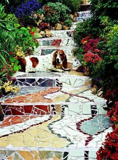 Mosaics - Stair Risers Mosaic Stairs, Mosaic Walkway, Easy Mosaic, Rocks Landscaping, Mosaic Stepping Stones, Mosaic Pots, Side Yards, Garden Stairs, Pebble Mosaic