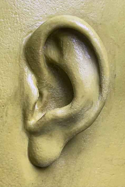 A ear details of our one clay model sculpture. Ear Sculpture, Model Sculpture, Clay Model, Wax, Sculpture, Quick Saves, Art