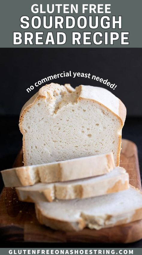 Gluten Free Sourdough Bread Recipe, Wild Yeast Starter, Gluten Free Sourdough Starter, Gluten Free Sourdough Bread, Gluten Free Sandwich Bread, Yeast Starter, Gluten Free Sandwiches, Gluten Free Yeast Free, Sourdough Bread Sandwiches