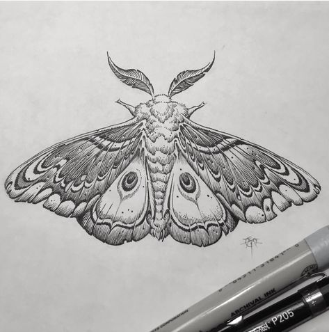 Tattoo Papillon, Borboleta Tattoo, Moth Drawing, Moth Tattoo Design, Night Tattoo, Tier Tattoo, Kunst Tattoos, Insect Tattoo, Tattoo Zeichnungen