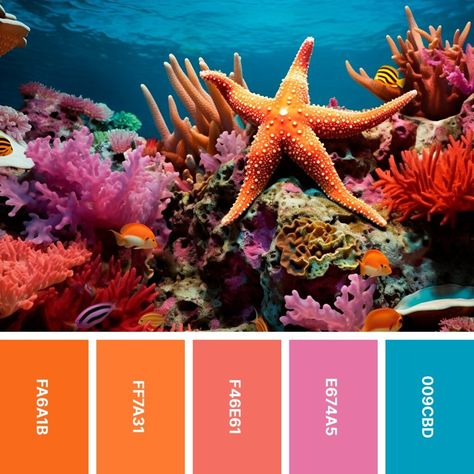 Fall Beach Color Palette, Starfish Color Palette, Coral Colour Scheme, Sea Life Color Palette, Coral Palette Color, Seashell Color Palette, Color Palette Complementary, Coral Reef Color Palette, Underwater Color Palette