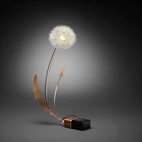 LED lamp made from real dandelion fluff - Boing Boing Antler Light Fixtures, Drift Design, Dandelion Light, Tord Boontje, Antler Lights, Lampe Art Deco, Mushroom Lights, Charles Ray, London Design Festival