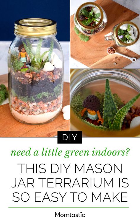 Succulent Terrarium Diy, Mason Jar Plants, Mason Jar Terrarium, Jar Terrarium, Mason Jar Herbs, Build A Terrarium, Mason Jar Herb Garden, Mason Jar Planter, Terrarium Jar