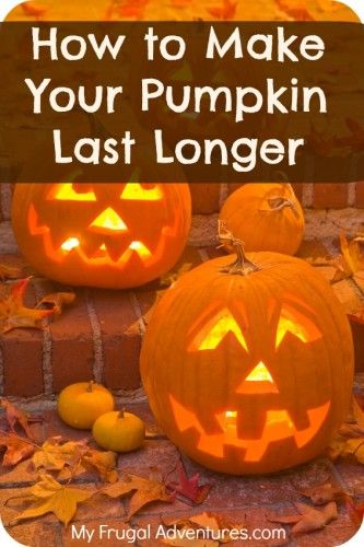 Make Pumpkins Last Longer, Preserve Carved Pumpkin, Preserving Pumpkins, Delicious Appetizers, Zucchini Salad, How To Make Pumpkin, Halloween Recipes, Pine Nuts, Goat Cheese