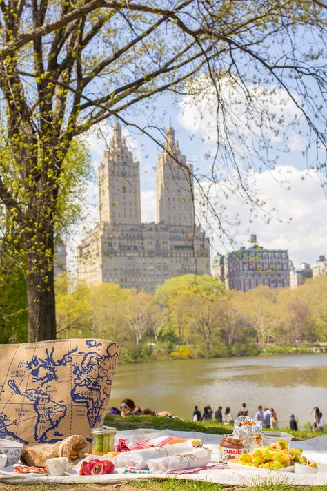 Central Park Picnic New York Facts, Cental Park, Central Park Aesthetic, Picnic In Central Park, Central Park Picnic, Summer In Nyc, Park Picnic, Nyc Lifestyle, Picnic Inspiration