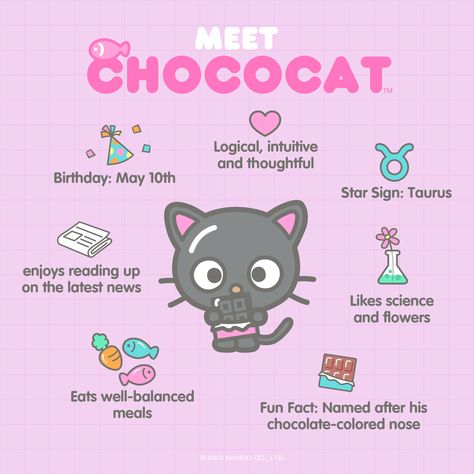 Chococat is our Friend of the Month for September 🖤 Here are some fun facts about our intuitive friend! Hello Kitty Characters, Hello Kitty Cartoon, Hello Kitty Art, Sanrio Wallpaper, Cute Kawaii Drawings, Hello Kitty Pictures, Hello Kitty Items, Kawaii Drawings, Hello Kitty Wallpaper