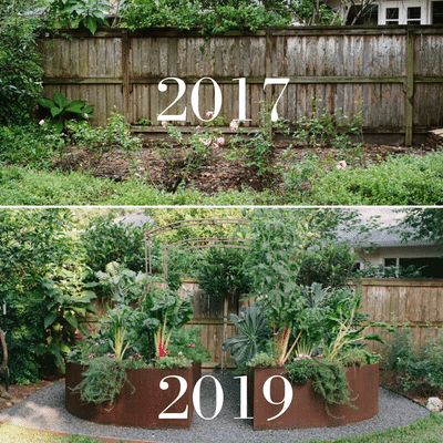 Raised Bed Kitchen Garden, Rooted Garden, Raised Kitchen, Kitchen Garden Design, Vege Patch, Houston Garden, Raised Bed Garden Design, Raised Bed Garden, Vegetable Garden Raised Beds