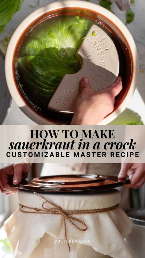 Learn how to make sauerkraut in a crock with our comprehensive master recipe. This step-by-step guide teaches you how to choose a crock, the best cabbages for fermenting sauerkraut, the best salt ratio for making sauerkraut in a crock, and our customizable master recipes for any gallon size fermentation crock. Make traditional sauerkraut or mix in other fruits and vegetables. #sauerkraut #crock #fermentation Homemade Sourkraut, Fermenting Crock Recipes, Sourkrout Recipes, Fermenting Sauerkraut, Sauerkraut In A Crock, Sauerkraut Crock, Make Sauerkraut, Crock Meals, Making Sauerkraut