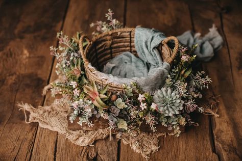 Wildflower Newborn Photography, Boho Newborn Photography, Boho Newborn, Diy Newborn Photography, Baby Boy Newborn Pictures, Baby Backdrop, Baby Christmas Photos, Baby Photoshoot Ideas, Newborn Ideas