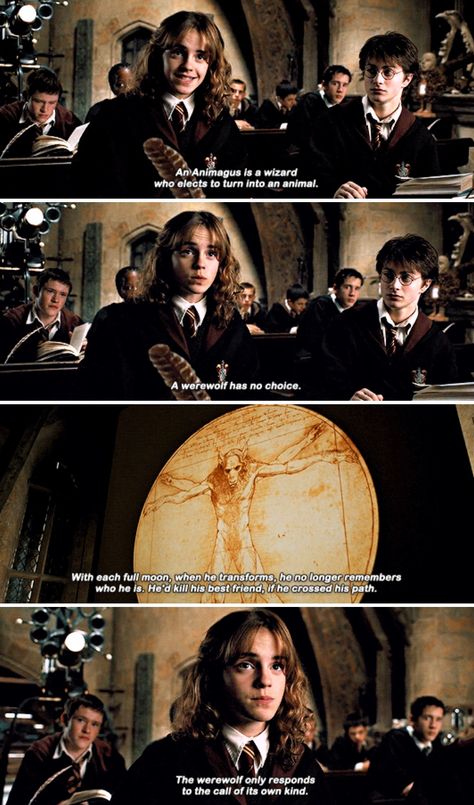 “Now, which one of you can tell me the difference between an Animagus and a werewolf? No one? How disappointing.” Hp Harry Potter, Potter Quotes, The Prisoner Of Azkaban, The Prisoner, Prisoner Of Azkaban, Harry Potter Things, Harry Potter Quotes, Harry Potter Obsession, Mockingjay