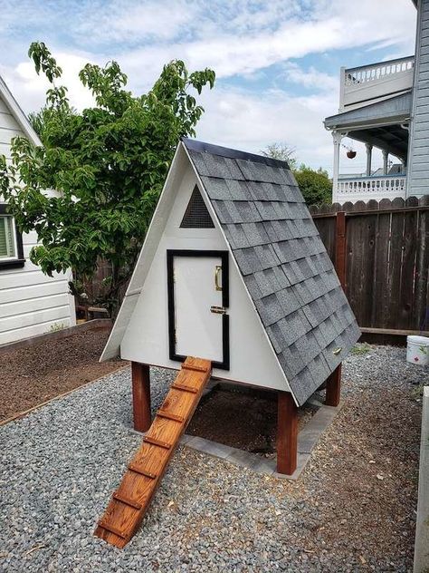 Ducks Coop, Quack Shack, Small A Frame, Farm Goals, Chook Pen, A Frame Chicken Coop, Chicken Coop Blueprints, Chicken Roost, Small Chicken Coops