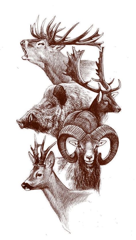 Hunting Drawings, Hirsch Silhouette, Hunting Tattoos, Cool Nature, Animal Tattoo Ideas, Pyrography Patterns, Wild Tattoo, Hunting Art, Dragon Artwork Fantasy