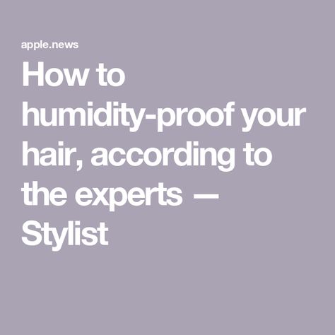 How to humidity-proof your hair, according to the experts — Stylist Humidity Proof Hairstyles, Wavy Or Curly Hair, Frizzy Hair Tips, Whimsical Hair, Luxy Hair, Oil Treatments, Frizzy Hair, Crazy Hair, Best Products