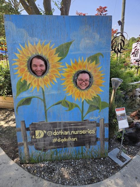 Sunflower Patch, Farm Fun, Sunflower Photo, Pumpkin Farm, Photo Board, Farm Photo, Sunflower Field, Photo Boards, Simple Acrylic Paintings