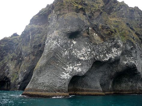 Giant Sea Elephant Emerges From The Ocean In Iceland | Bored Panda Sea Elephant, Elephant Rock, Amazing Travel, Natural Rock, An Elephant, Rock Formations, Nature Landscape, A Rock, Amazing Nature