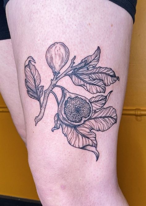 Botanical Drawing Tattoo, Fruit And Veggie Tattoo, Fig Tree Branch Tattoo, Sweet Potato Tattoo, Fig Drawing Simple, Art Nouveau Flower Tattoo, Fruit Sleeve Tattoo, Fruit Tattoo Black And White, Fig Tree Tattoo The Bell Jar