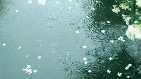 The Garden Of Words, Love Rain, Macbook Wallpaper, Japan Photo, Rain Drops, Wallpaper Pc, Ipad Wallpaper, Wallpaper Aesthetic, Rainy Days