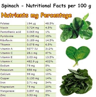 Properties and Benefits of Spinach – NatureWord Purslane Benefits, Purslane Recipe, Purslane Plant, Medicinal Weeds, Spinach Benefits, Pantothenic Acid, Herbs For Health, Healthy Oils, Vitamin K