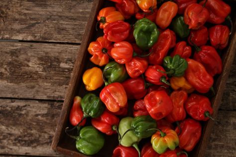 What's A Good Scotch Bonnet Pepper Substitute? - PepperScale Jamaican Desserts, Jamaican Patty, Bbq Pig, Jamaican Cuisine, Jamaican Dishes, Ground Chicken Recipes, Scotch Bonnet Pepper, Caribbean Cuisine, Habanero Peppers