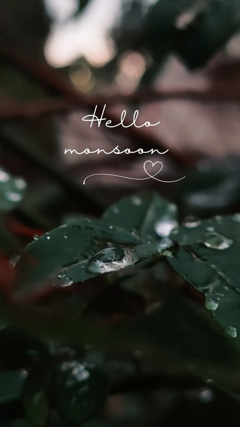 #rain #rainy season #leaves #green #raindrops Rainy Season Wallpaper, Rain Drops Aesthetic, Rain Wallpaper Iphone, Beautiful Moon Pictures, Rain Wallpaper, Rainy Wallpaper, Tea Lover Quotes, Hello June, Wallpaper Iphone Boho