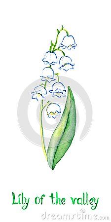 Lily Of The Valley Clipart, Lilly Of The Valley Drawing Art, Convallaria Majalis, Art Genres, Flower Tattoo Drawings, Lily Of The Valley Flowers, Tasteful Tattoos, Watercolor Flower Art, Birth Month Flowers