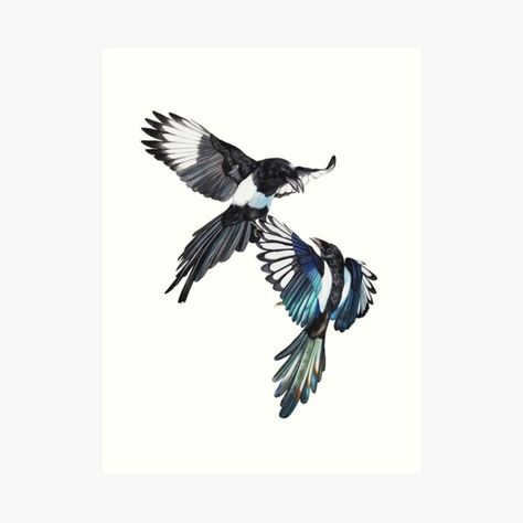 Korean Magpie Tattoo, Magpie Tattoo Design, Australian Bird Tattoo, Two Magpies Tattoo, Magpies Tattoo, Two Magpies, Magpie Tattoo, Magpie Art, Orchid Tattoo