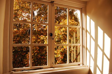 Emily + Core + Aesthetic, An Open Window, Monday Inspiration, Cottage Core Aesthetic, Window View, Open Window, Yellow Aesthetic, + Core + Aesthetic, Through The Window