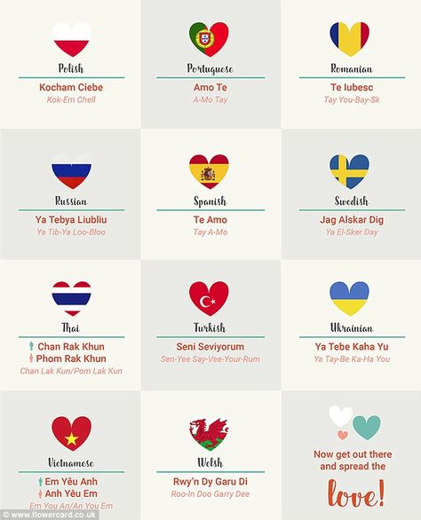 How to say ‘I love you’ in 50 languages revealed My Love In Different Languages, Love In Different Languages, I Love You Languages, European Day Of Languages, How To Say I Love You, Words In Different Languages, Valentine Bulletin Boards, Save Marriage, Marriage Spells