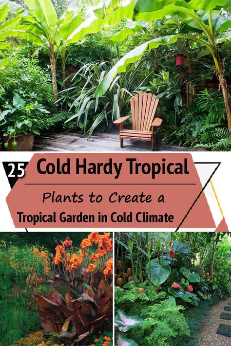 Tropical Gardening Ideas, Large Tropical Garden, Tropical Plant Garden Landscape Design, Tropical Uk Garden Design, Tropical Landscaping Cold Climate, Tropical Garden Design Small Spaces Patio, Landscape Beside House, Tropical Garden In Cold Climate, Tropical Plants Outdoor Zone 7