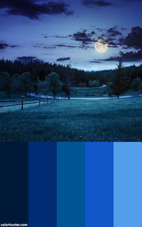 Fence+On+Meadow+Near+Forest+At+Night+Color+Scheme Night Forest Color Palette, Night Pallete Color, Night Color Scheme, Forest Color Scheme, Night Color Palette, Night Palette, Forest At Night, Color Tips, Hex Color Palette